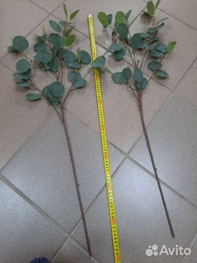 Эвкалипт искусственный