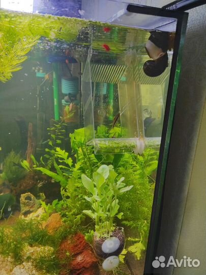 Аквариум с тумбой 200л бу
