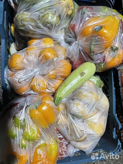 Овощи фруткы некондиция