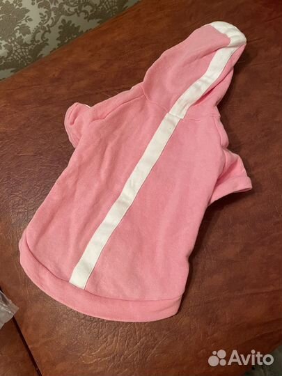 Вещи для мелких пород собак