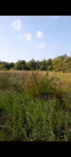 Участок 74 сот. (ИЖС)