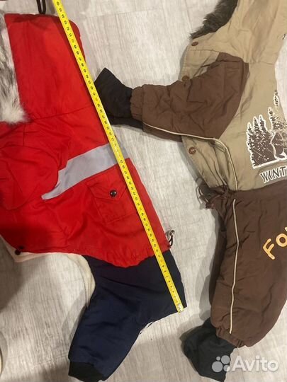 Одежда и обувь для собачки