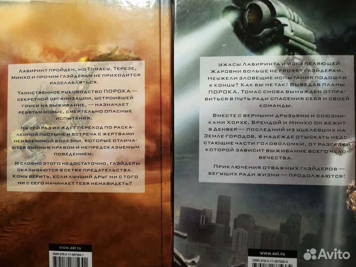 Джеймс Дэшнер Бегущий в лабиринте