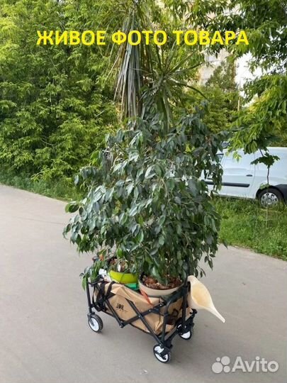 Кемпинговая Тележка Xiaomi Chao Foldabl YC-zdydc01