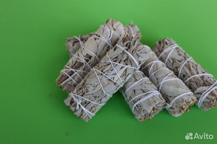 Шалфей Белый от 20шт опт для Озон