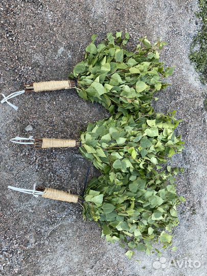 Березовый веник