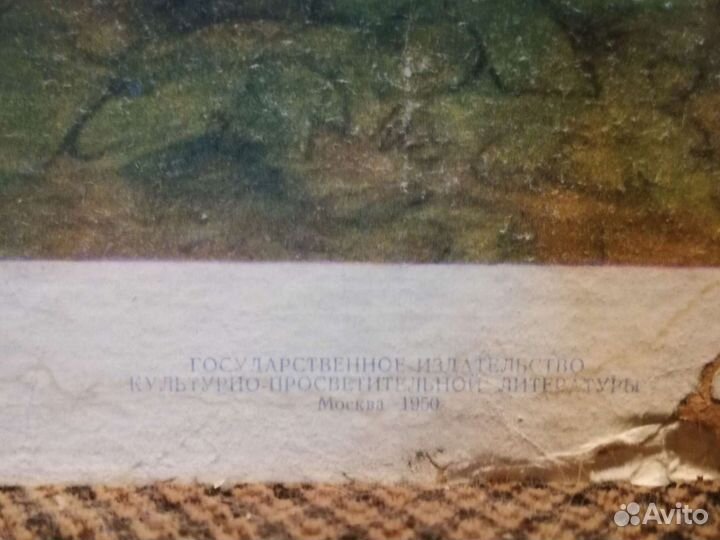 Плакат по биологии