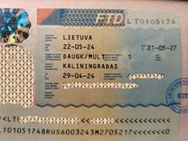 Утд (Упрощенный Транзитный Документ) Литвы