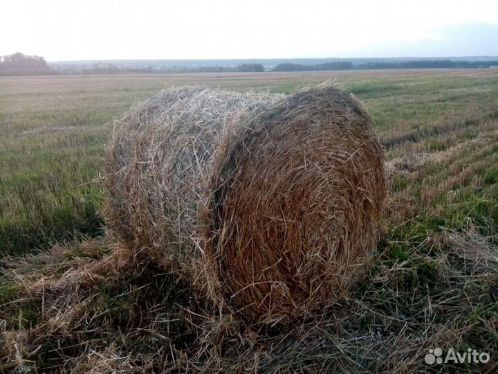Сено солома в тюках