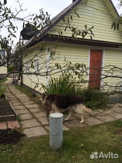 Водоснабжение. Бурение скважин в Кировском р-не