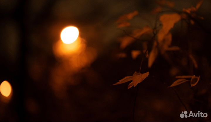 Sigma art 70mm macro sony e