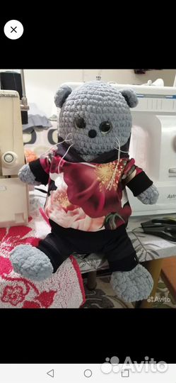 Одежда для кота Басика