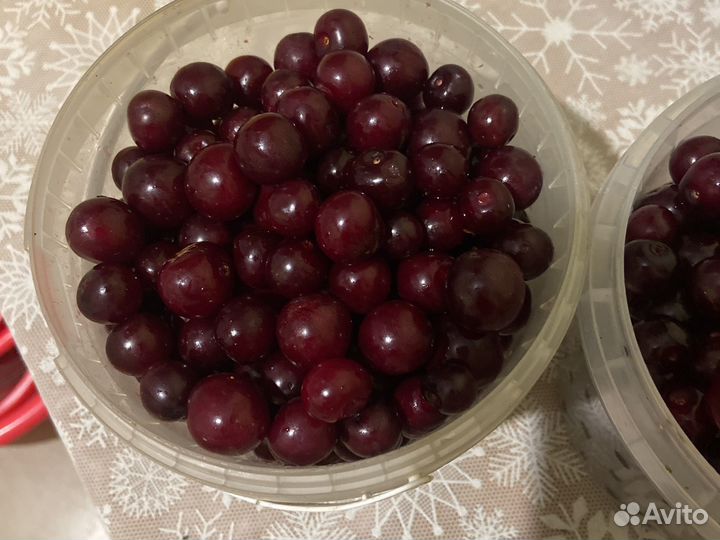 Вишня ягода свежая