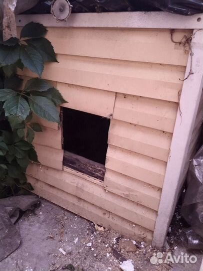 Будка бесплатно