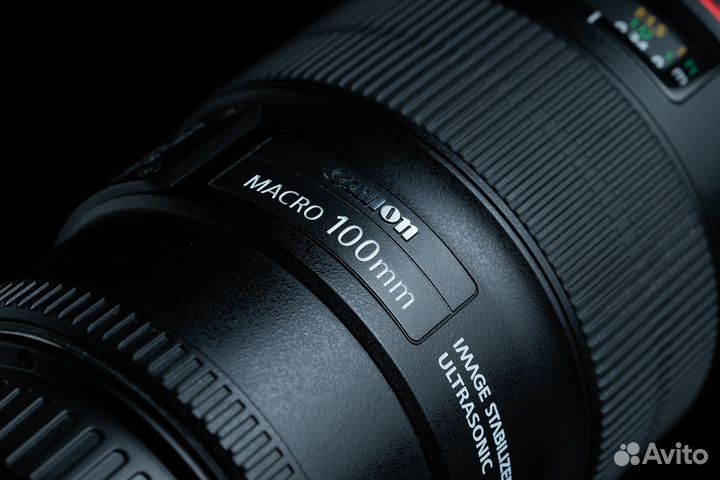 Объектив Canon EF 100mm f/2.8L Macro IS USM