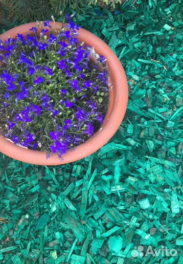 Щепа декоративная зеленая