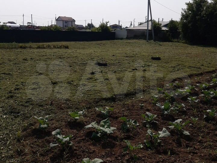 Участок 20 сот. (ИЖС)