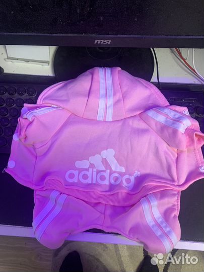 Одежда для маленьких собак