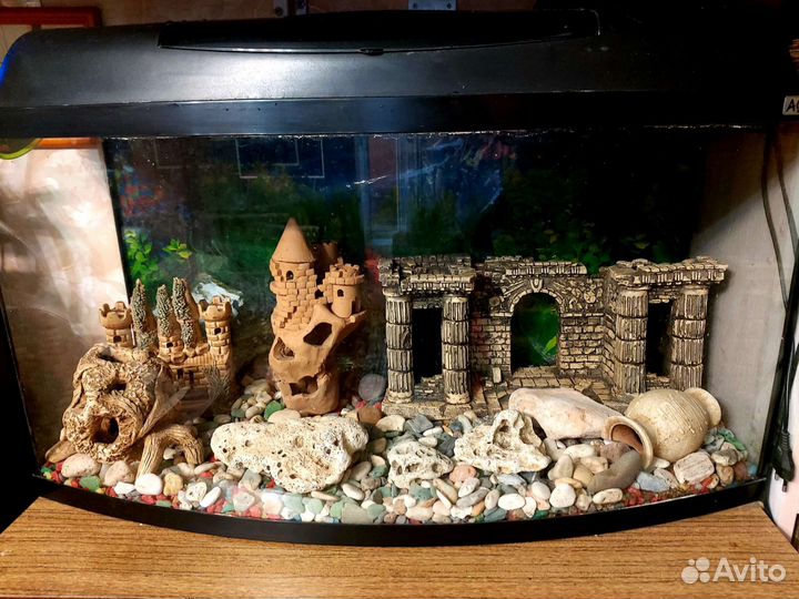 Аквариум