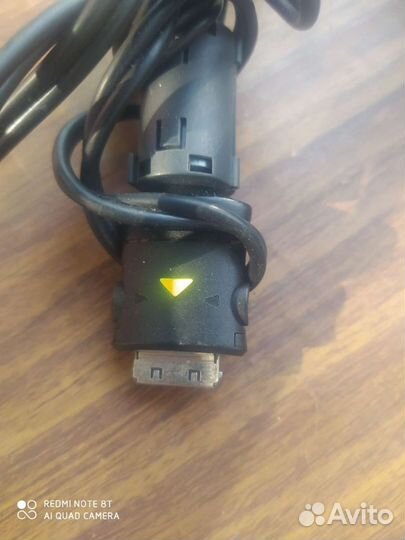 Тюльпаны провода