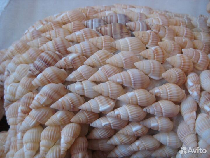 Слон из ракушек, 26 см