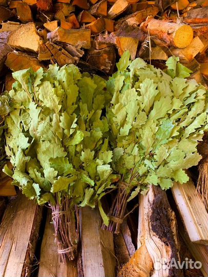 Дубовые веники для бани