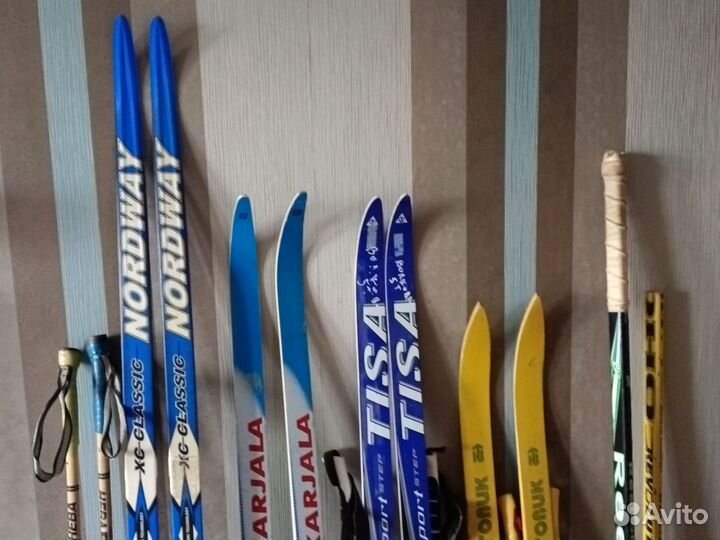 Беговые лыжи