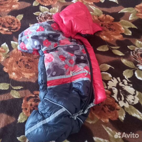 Одежда для собак