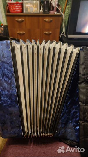 Аккордеон Юнга