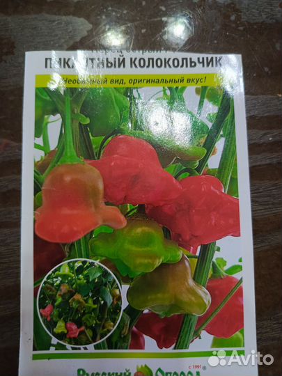 Рассада помидор, перцев, георгины (карликовой)