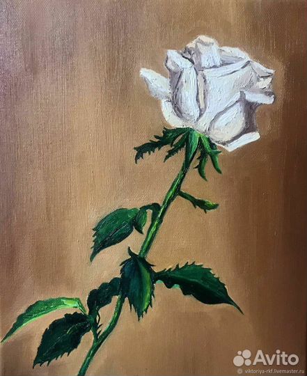 Роза. Картина маслом