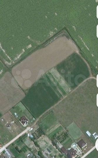 Участок 67 сот. (СНТ, ДНП)