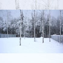 Участок 7,7 сот. (ИЖС)