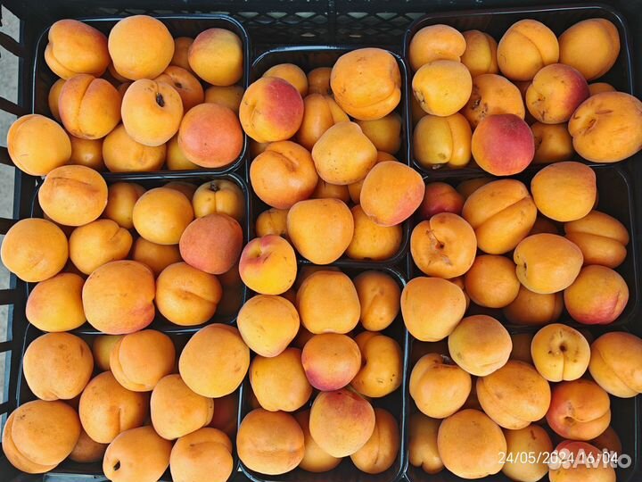 Абрикос оптом