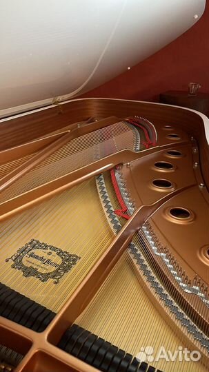 Концертый рояль Yamaha C7