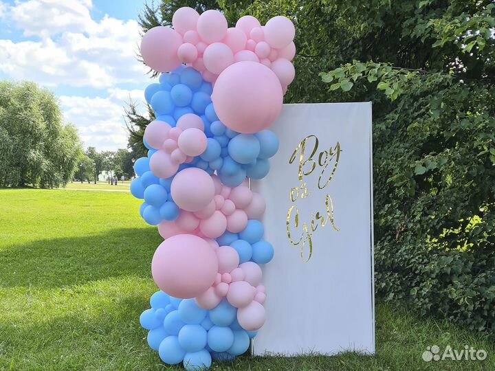 Фотозоны на выписку / гендер пати