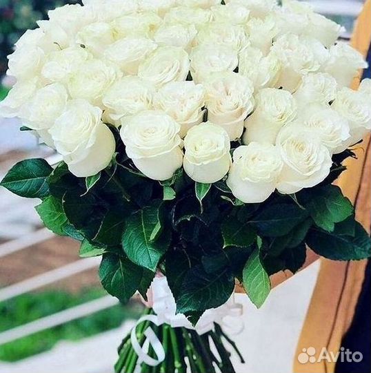 Высокие Розы с Доставкой