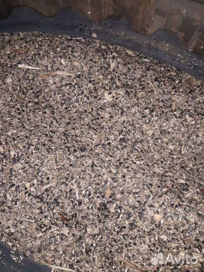 Корма отходы