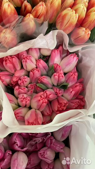 Тюльпаны по 20/25/50 штук розница
