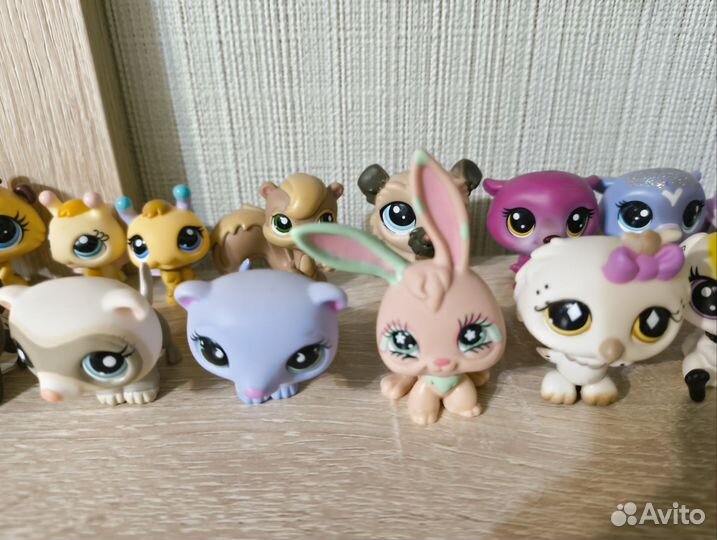 Littlest pet shop