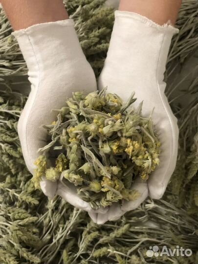 Запарка из чайной розы для бани