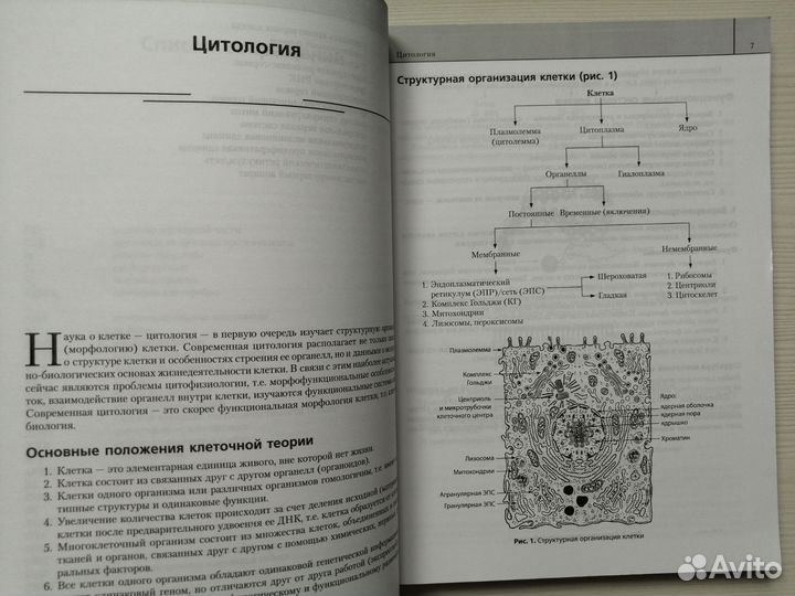 Наглядная гистология (2014г.) / Л. Гарстукова