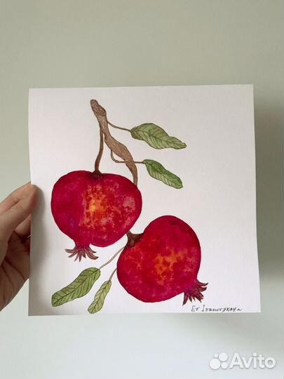 Картина акварель Гранаты