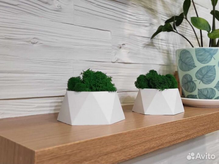 Набор 2 кашпо со стабилизированным мхом