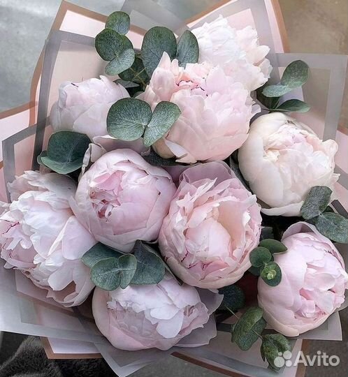 Пионы Букет пионов Доставка цветов
