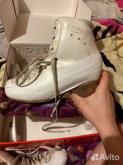 Коньки для фигурного катания edea overture