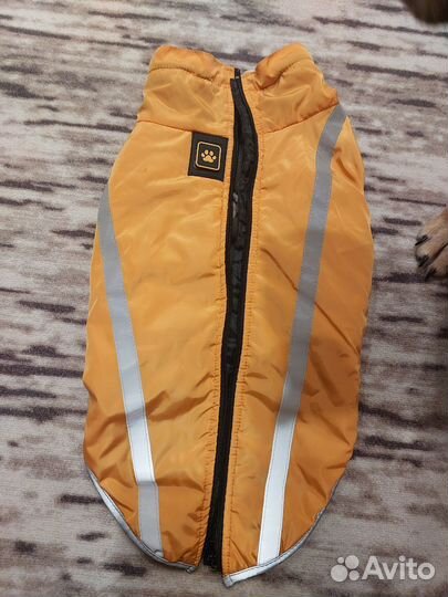 Зима-осень попона для собак