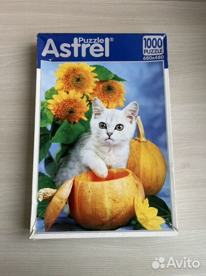 Пазлы 1000 деталей