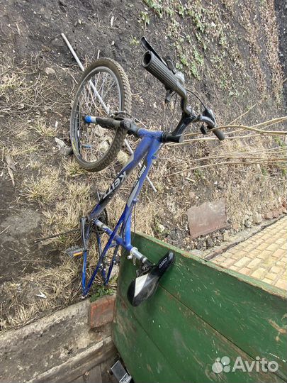 Скейтборд, BMX, Горный велосипед