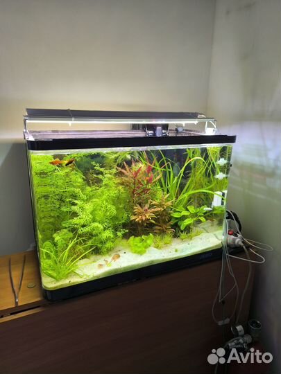 Фирменный аквариум Jebo 70л